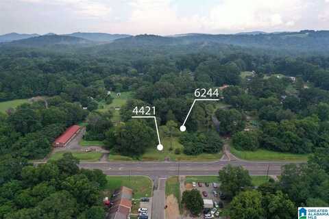 4421 & 6244 PINSON BOULEVARD, PINSON, AL 35126