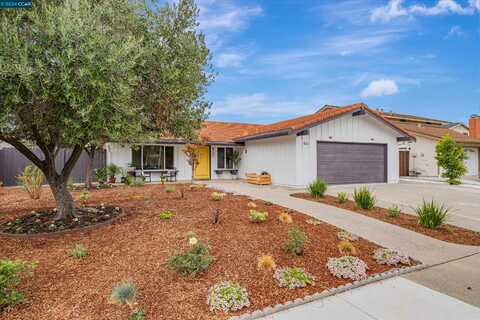 8177 Del Monte Ave, Newark, CA 94560