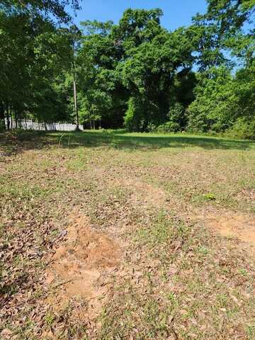 LOT 38 CYPRESS COVE, Eufaula, AL 36027