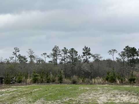 Tract#6336 Sand Path Road, Bonifay, FL 32425