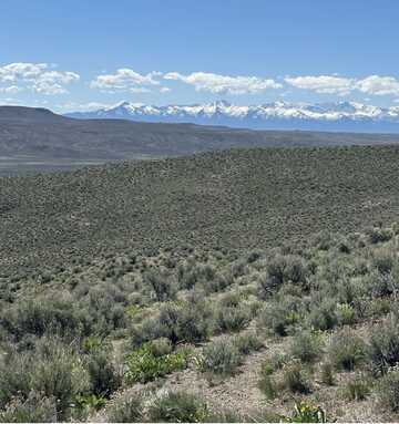 Cedar Street, Elko, NV 89801