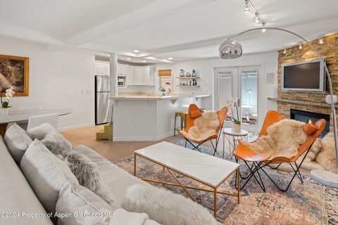 950 E Durant Avenue, Aspen, CO 81611