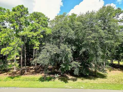 3121 Bogie Court SW, Supply, NC 28462