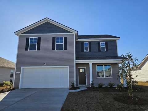 192 Hadley Springs Ave, Longs, SC 29568