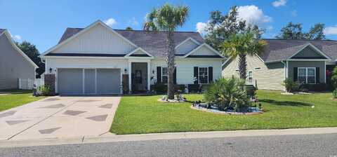 172 Palm Terrace Loop, Conway, SC 29526