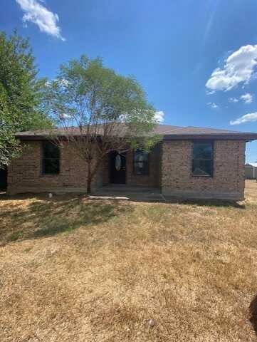 206 E Thompson Street, Hebbronville, TX 78361