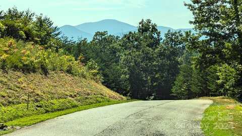 313 Willow Top Lane, Lake Lure, NC 28746