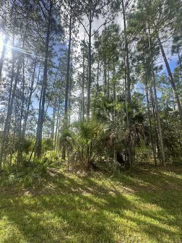 36 Kashmir Trail, Palm Coast, FL 32164