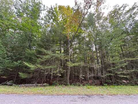 Lot 22 E Renwick Circle, Presque Isle, MI 49777