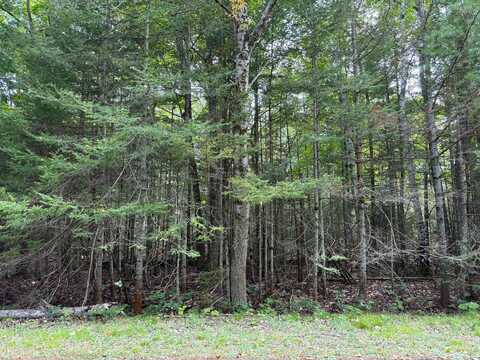 Lot 21 E Renwick Circle, Presque Isle, MI 49777