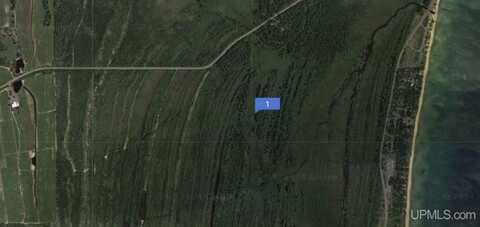 TBD NEAR RICE LAKE &AMP BIG TRAVERSE BAY RDS ROAD, LAKE LINDEN, MI 49945