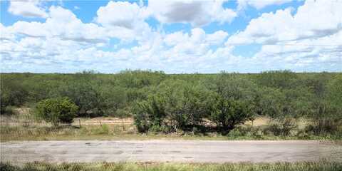 325 CR-129, Alice, TX 78332