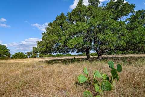 21 Legacy Oaks Dr, Harper, TX 78631