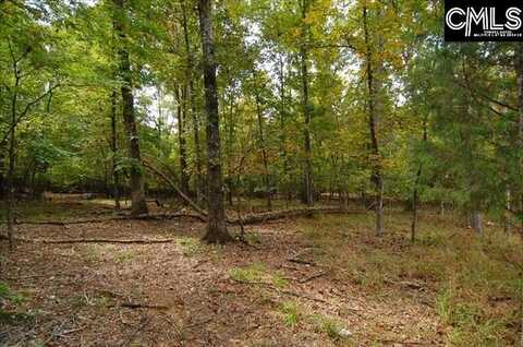 231 Tortoise Trail, Batesburg, SC 29006