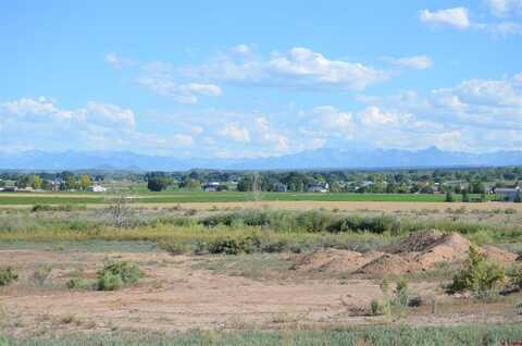 TBD 5950 Road, Montrose, CO 81403