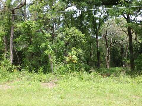 LOT 87 168th Ln, Trenton, FL 32693