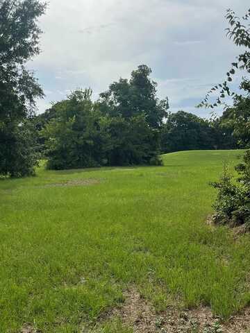 Lot 124 Pebble Beach Drive, Eufaula, AL 36027