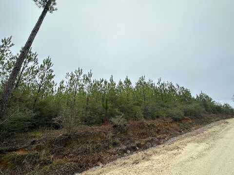 Tract#6418 N Mattox Springs Road, Caryville, FL 32427