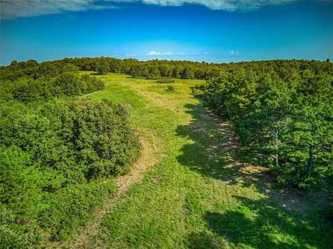 Toupee LN, St. Joe, AR 72675