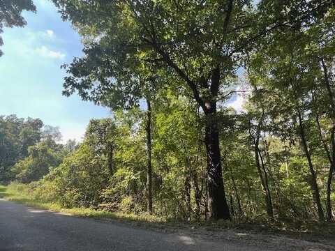 89 & 91 Sunrise AVE, Holiday Island, AR 72631