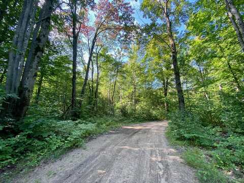 Old Stump, Gaylord, MI 49735