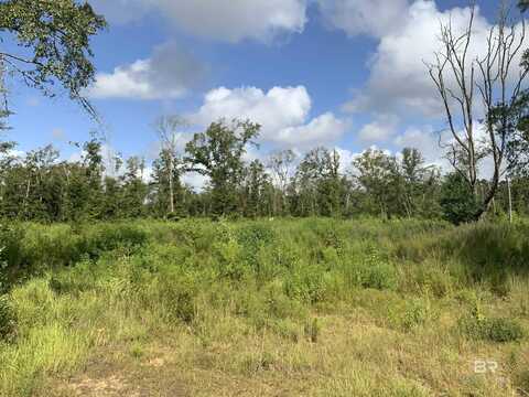 0 Highway 287, Bay Minette, AL 36507