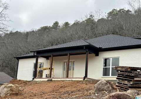 151 CHRISTY LANE, ONEONTA, AL 35121