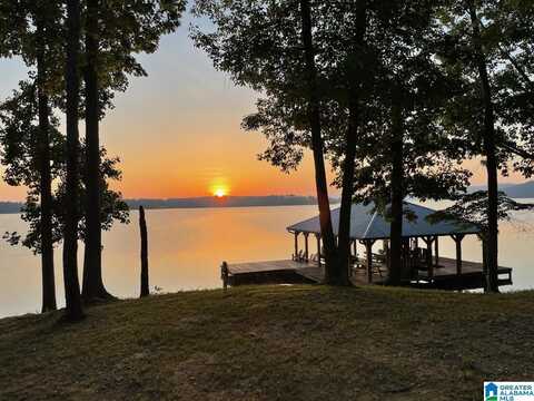 155 RIVERVIEW DRIVE, ASHVILLE, AL 35953