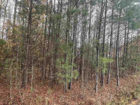 0000 Thomas Road, Judsonia, AR 72081