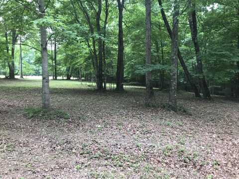 503 Wilderness Way, Dunlap, TN 37327
