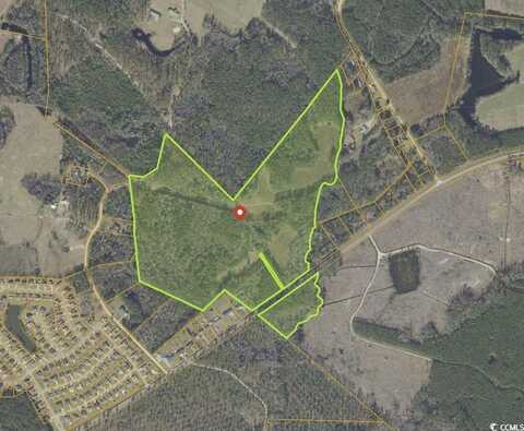 TBD Highway 905, Longs, SC 29568