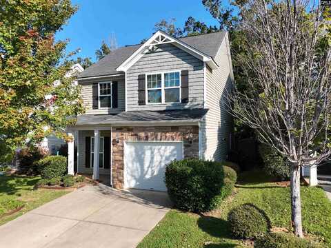 217 Jackstay Court, Chapin, SC 29036