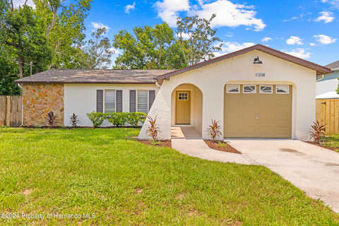 Sagamore, SPRING HILL, FL 34609