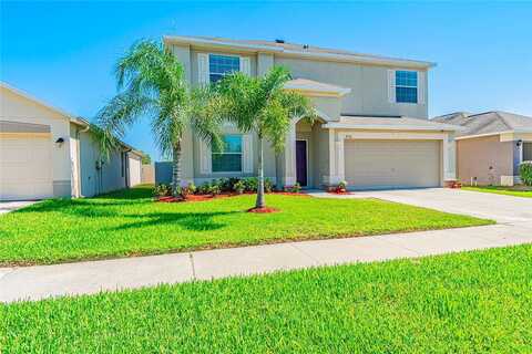 Alamosa Wood, RUSKIN, FL 33573