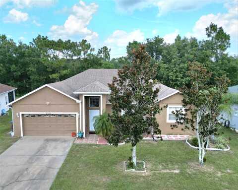 Ficus Tree, KISSIMMEE, FL 34758