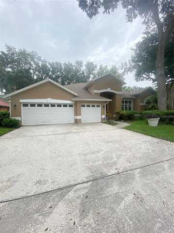 Eagle Bluff, VALRICO, FL 33596