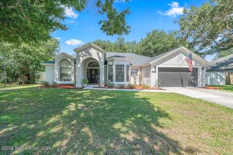 Buttonbush, TITUSVILLE, FL 32796