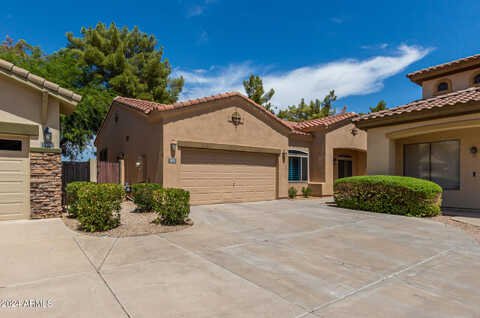 Olive, CHANDLER, AZ 85248