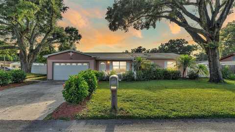 Faye, LAKELAND, FL 33813