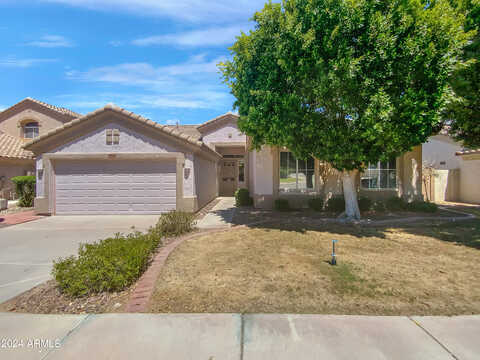 Barberry, CHANDLER, AZ 85248