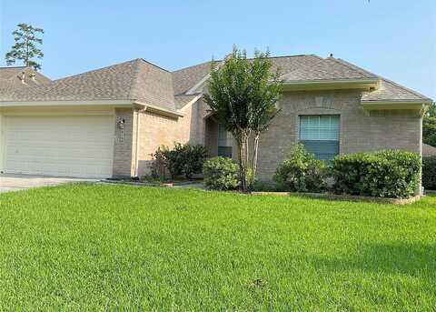 Sandy Park, KINGWOOD, TX 77339