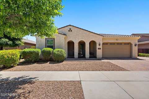 Rosa, QUEEN CREEK, AZ 85142