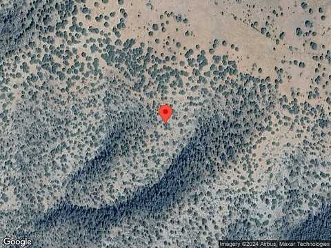 Lupine, PAYSON, AZ 85541