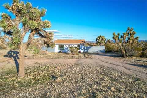 Condalia, YUCCA VALLEY, CA 92284