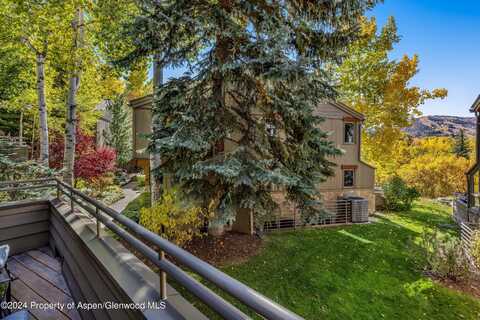 100 N Eighth Street, Aspen, CO 81611