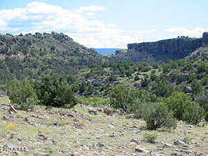 E Wenima -- -, Springerville, AZ 85938