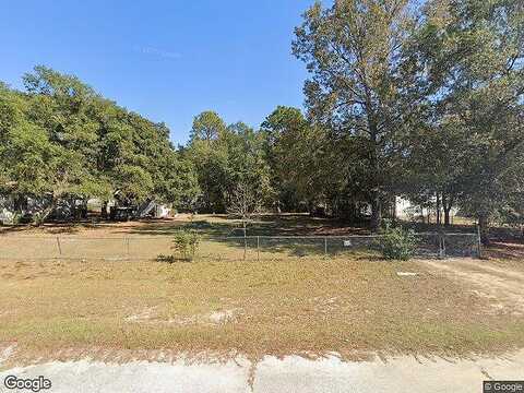 Baldpate, SAVANNAH, GA 31419