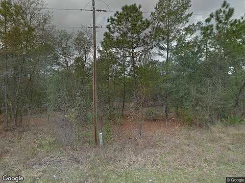 Paris, INTERLACHEN, FL 32148