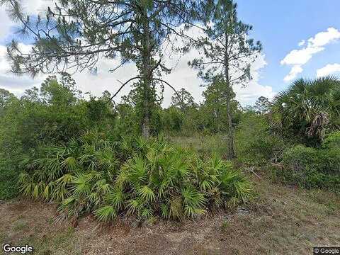 Mangonia, LEHIGH ACRES, FL 33974