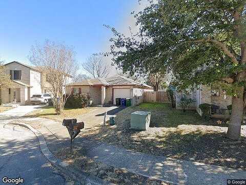 Basin Elm, SAN ANTONIO, TX 78239